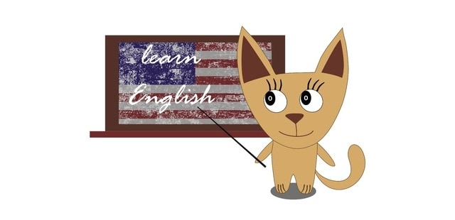 how do I learn? shows a cat learning English