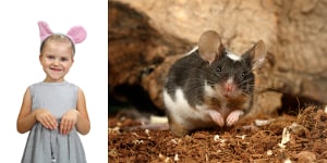 little girl miming being a mouse, and a real mouse in the same position