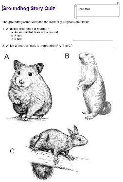 Worksheet shows drawings of a rabbit, a hamster and a groundhog